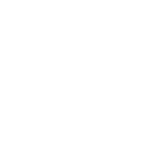 Platinum Group